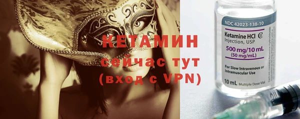 гашик Дмитров