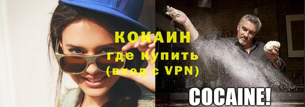 гашик Дмитров