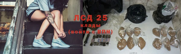 гашик Дмитров