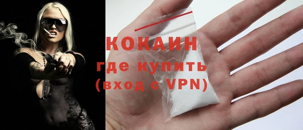 гашик Дмитров