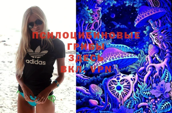 мяу мяу мука Дмитровск