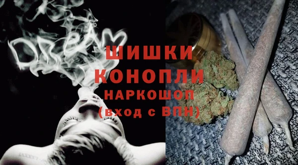 гашик Дмитров
