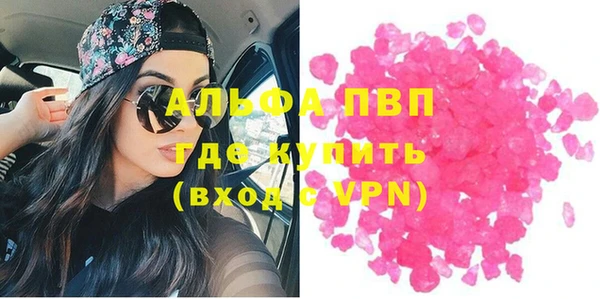 гашик Дмитров
