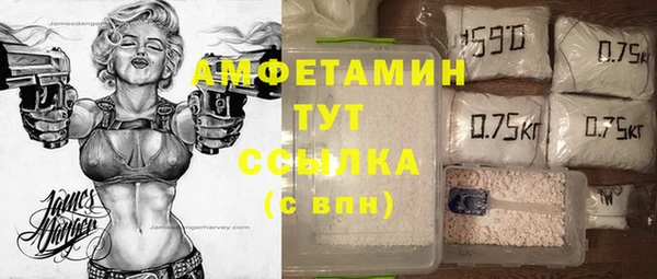 ГАЛЛЮЦИНОГЕННЫЕ ГРИБЫ Тутаев