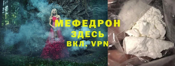 гашик Дмитров