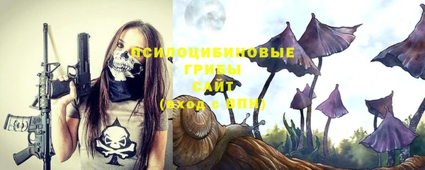 гашик Дмитров